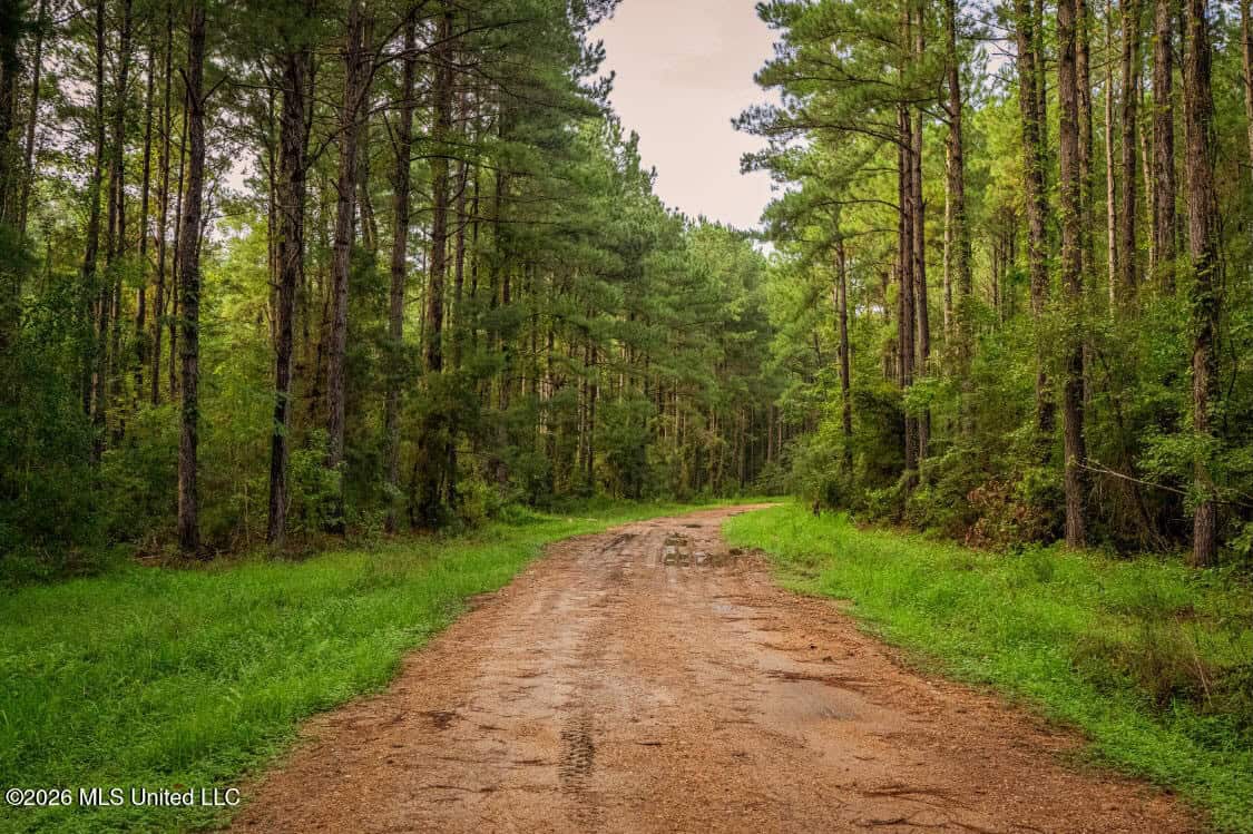 900 Acres for Sale – Hunter’s Paradise South Mississippi