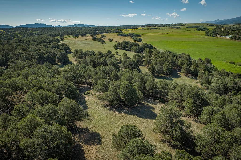 135 ± Acre Spring Valley Ranch for Sale Near Salida, CO