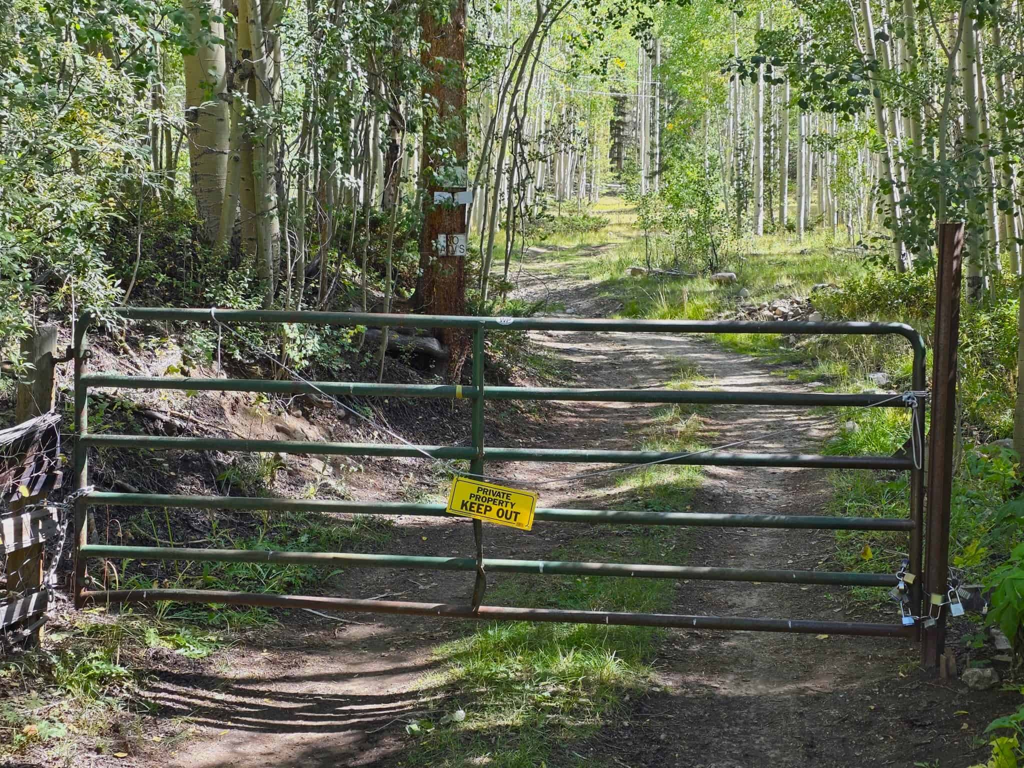 140 ± Acre Mountain Property for Sale in Whitepine, Colorado