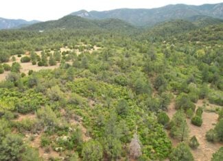 170.68 ± Acre Hunting Ranch by National Forest | Florence, CO