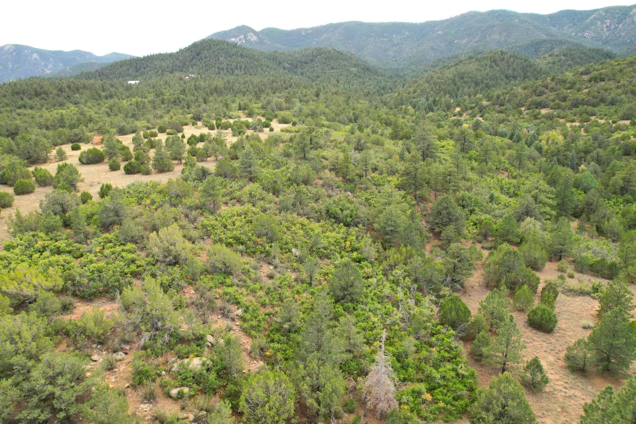 170.68 ± Acre Hunting Ranch by National Forest | Florence, CO