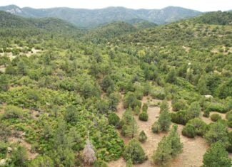 170.68 ± Acre Hunting Ranch by National Forest | Florence, CO