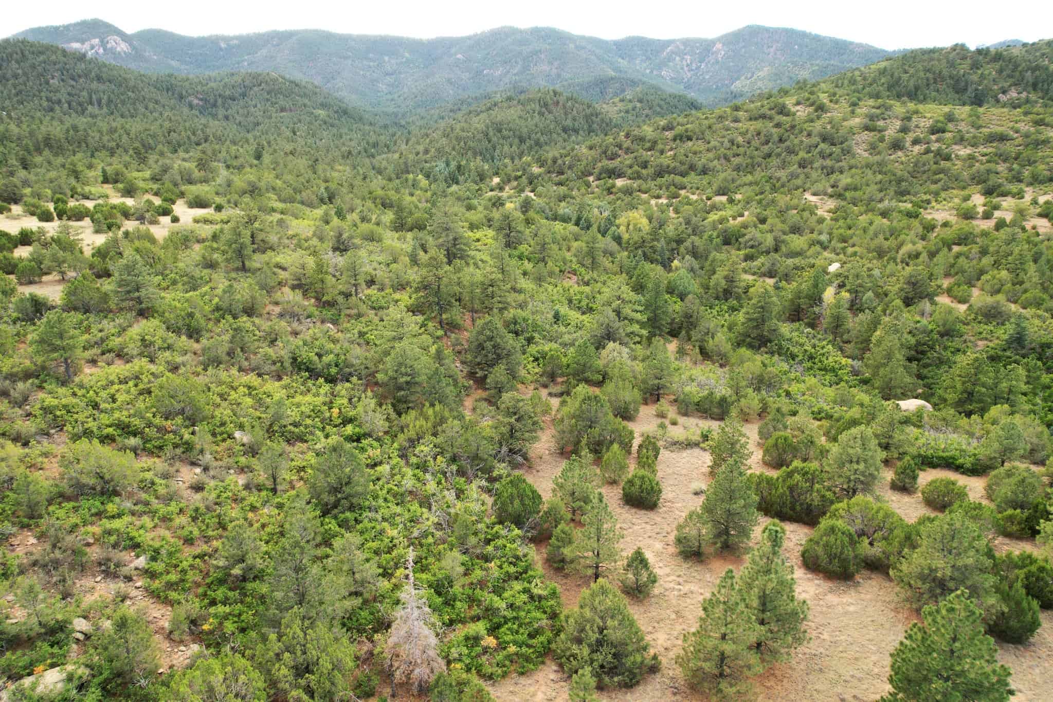 170.68 ± Acre Hunting Ranch by National Forest | Florence, CO