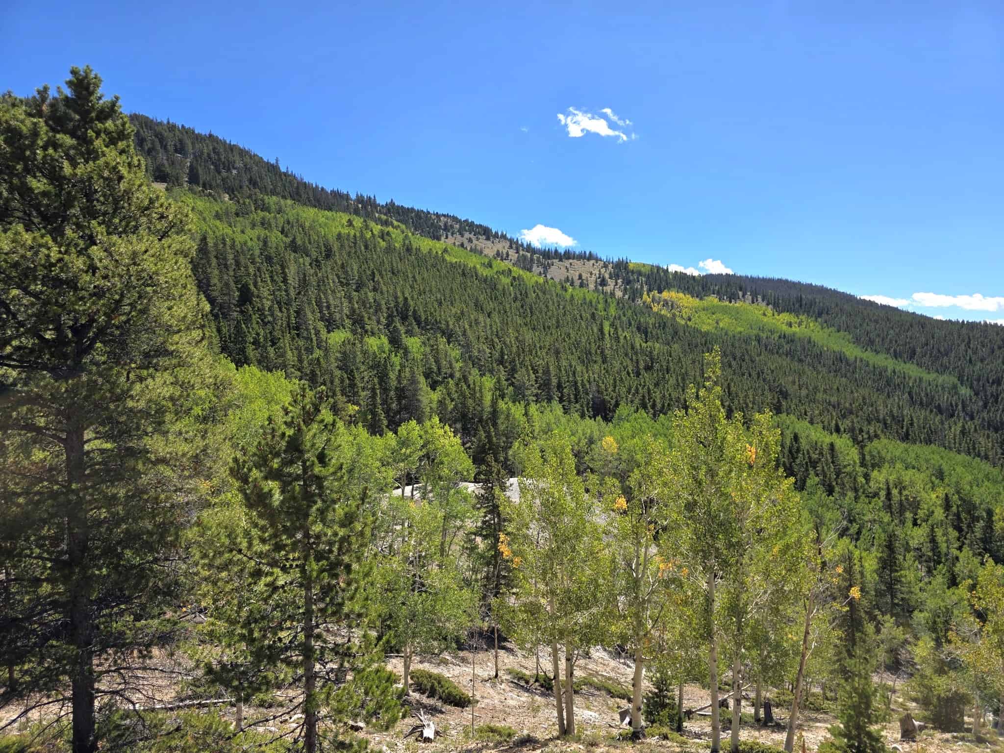 140 ± Acre Mountain Property for Sale in Whitepine, Colorado