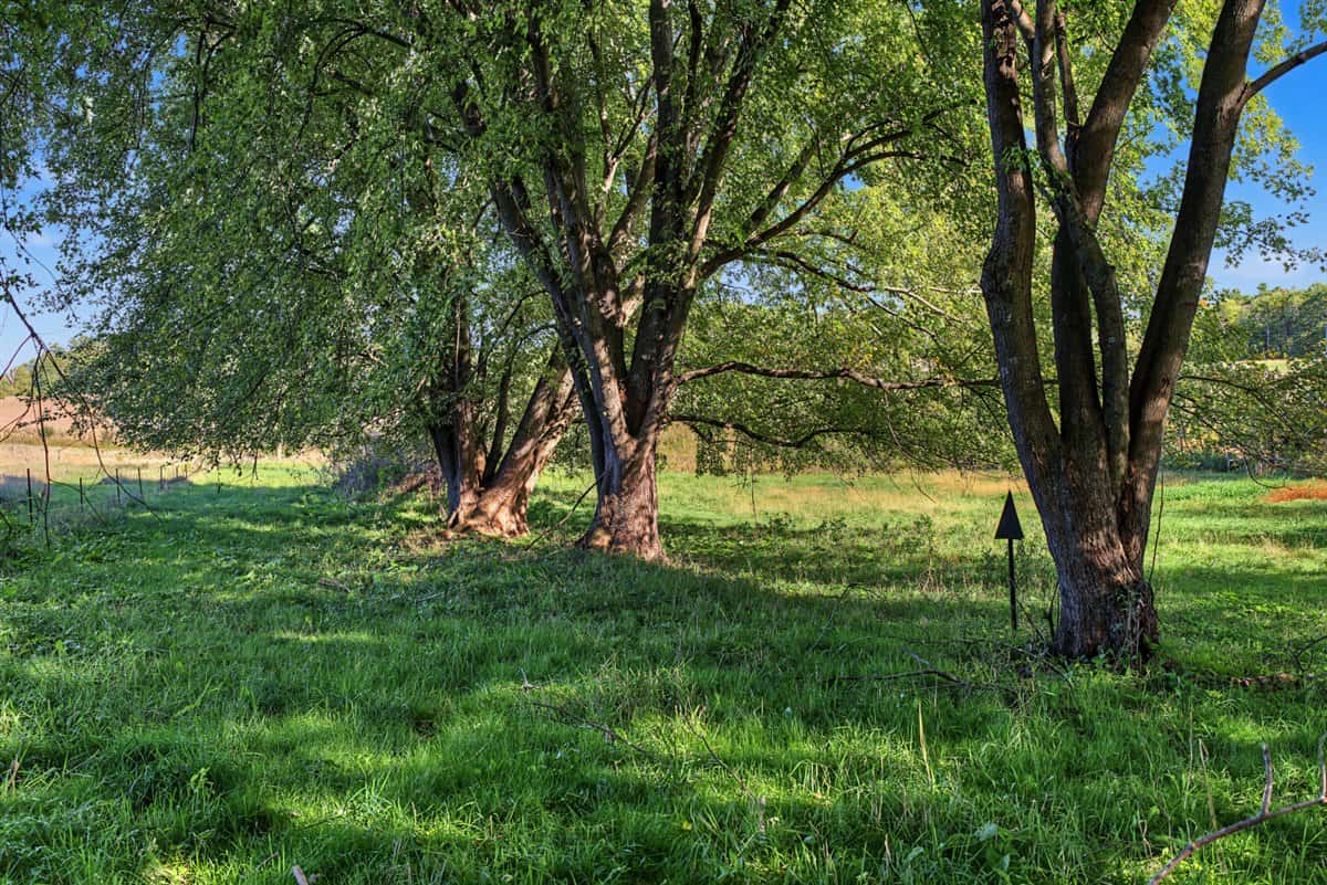 Wisconsin Country Farmstead & Artisan Creamery | Osseo, WI