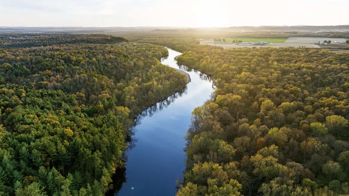 288± Acre Farm, Hunting & Black River Property | Melrose, Jackson County, WI