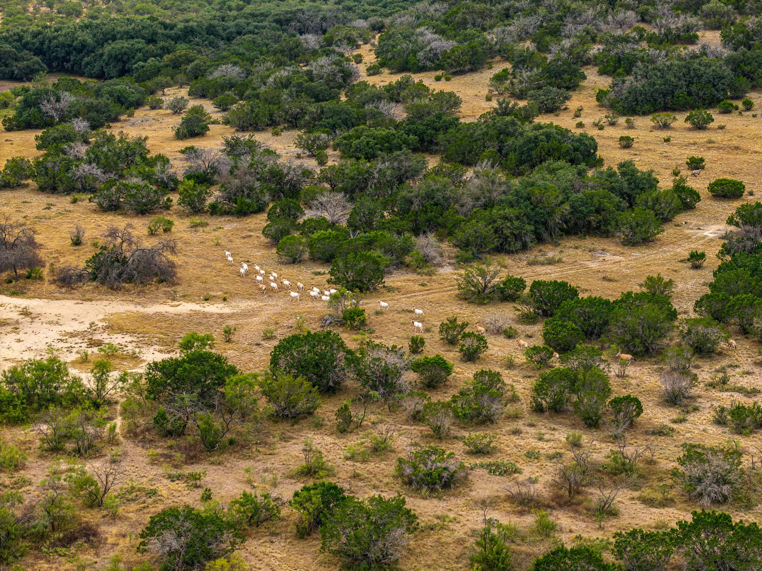 Dunbar Draw Ranch-First-Class Improvements, Exceptional Wildlife