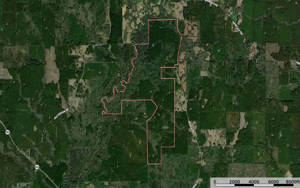 900 Acres for Sale – Hunter’s Paradise South Mississippi