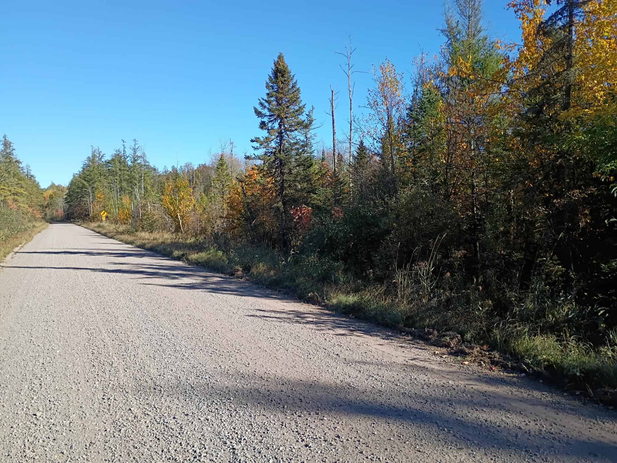 160 ± Acre Hunting Land with Camp Site Near Butternut, WI
