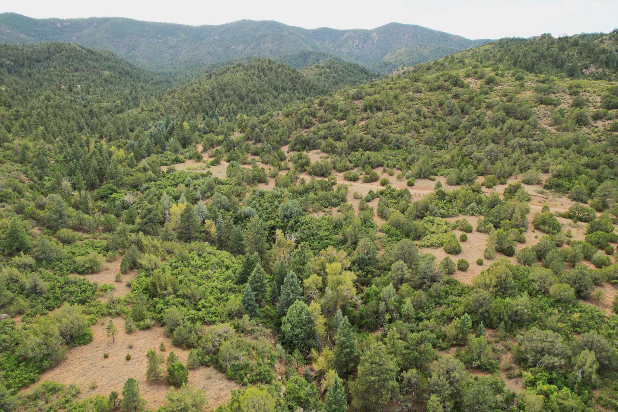 170.68 ± Acre Hunting Ranch by National Forest | Florence, CO