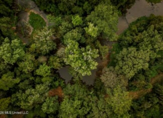 900 Acres for Sale – Hunter’s Paradise South Mississippi
