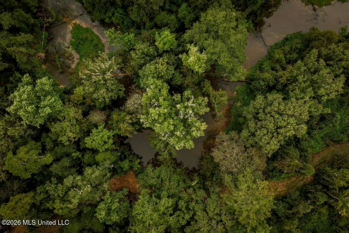 900 Acres for Sale – Hunter’s Paradise South Mississippi
