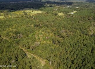 19.7+/- Acres of Wooded Land for Sale in Magnolia, MS