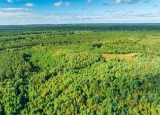 204.74± acres of premier recreational and hunting land in Eau Claire County