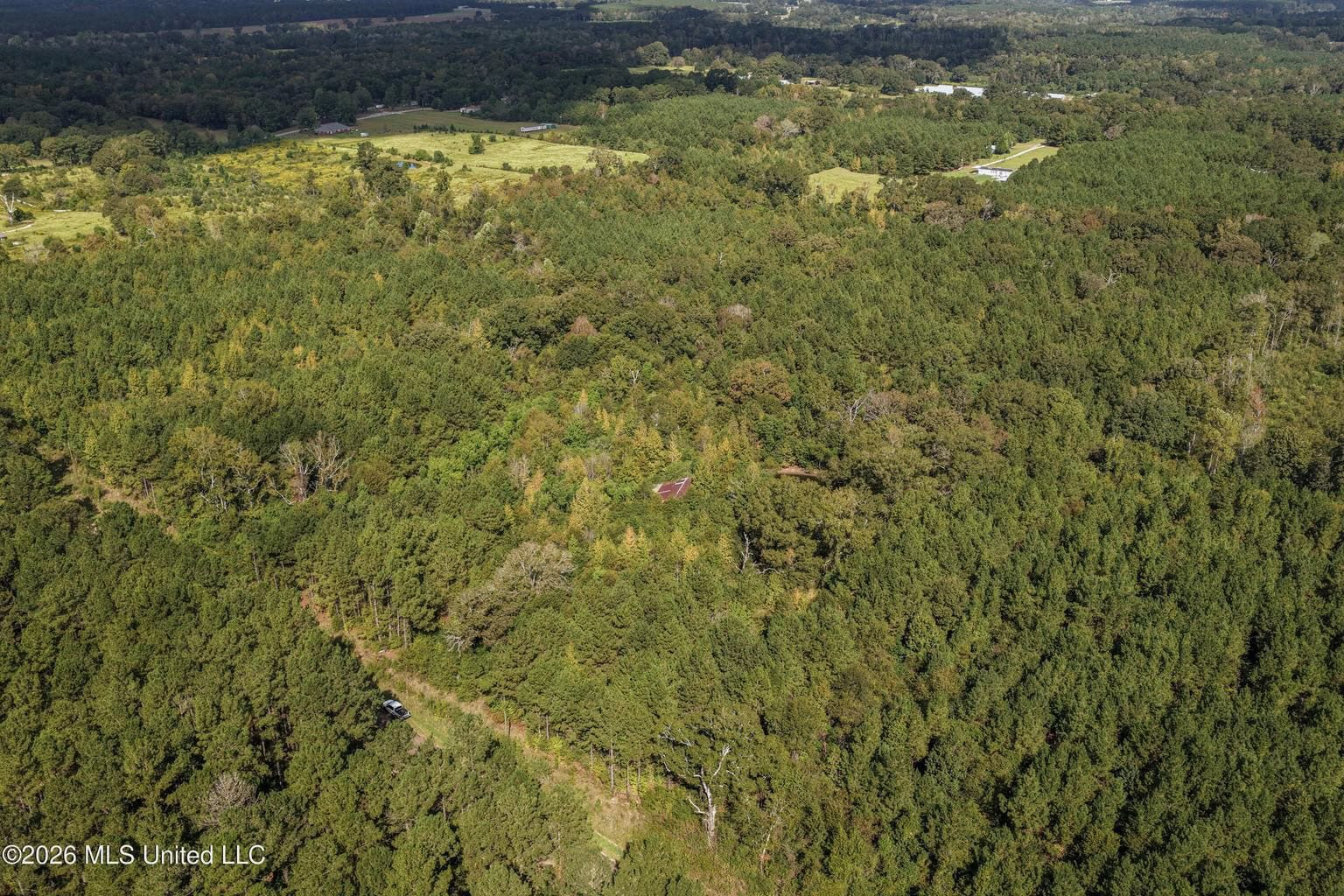 19.7+/- Acres of Wooded Land for Sale in Magnolia, MS