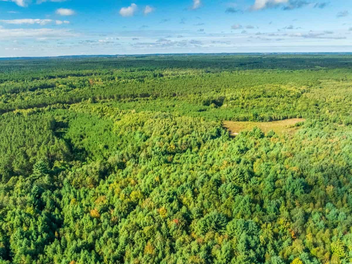 204.74± acres of premier recreational and hunting land in Eau Claire County