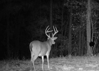 43± Acre Hunting Property in Amite County, MS
