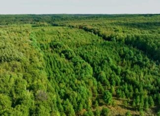 200± acres of Western Wisconsin recreational country Eau Claire Cty