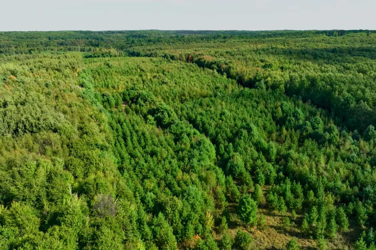 200± acres of Western Wisconsin recreational country Eau Claire Cty