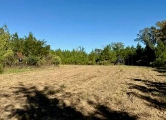 63 Acres Land For Sale Near Starkville MS
