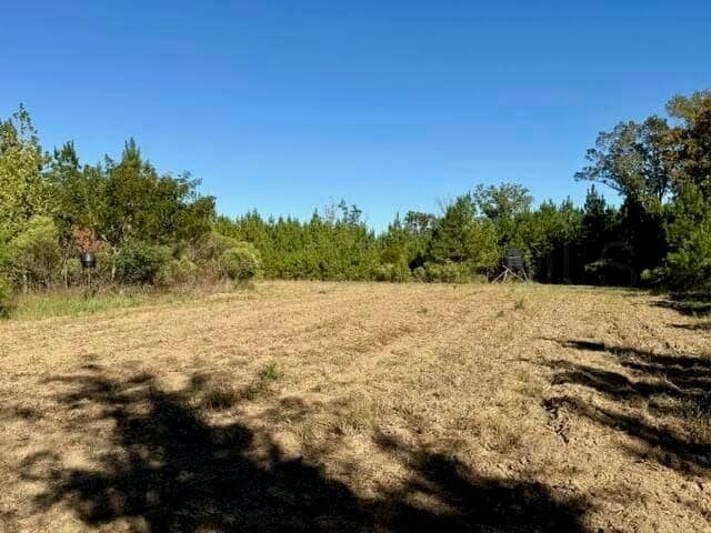 63 Acres Land For Sale Near Starkville MS