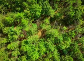 120± acres of heavily timbered hunting land in Eau Claire County
