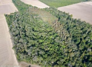 41.22 Acres MS Delta Duck Hunting