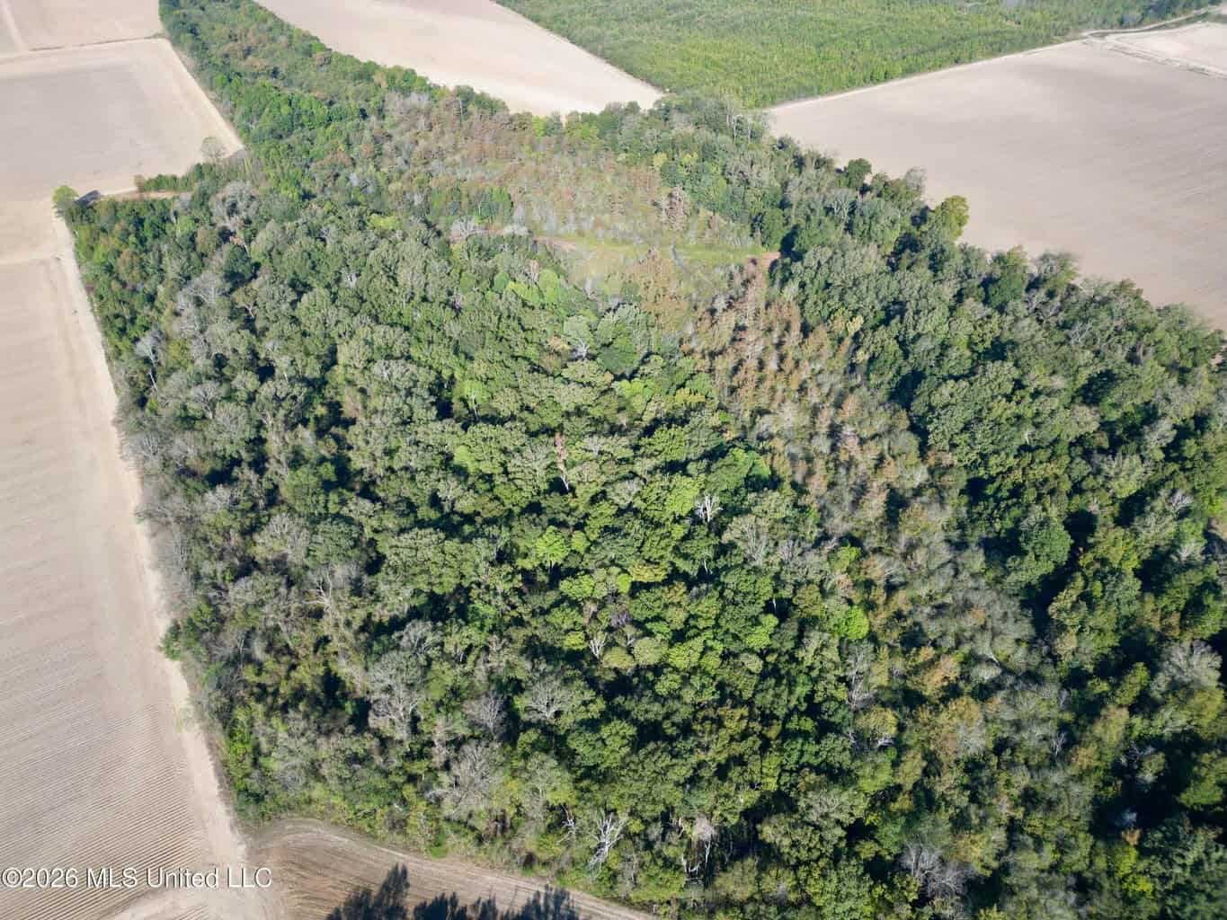41.22 Acres MS Delta Duck Hunting