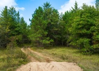 43 +/- Acres Augusta Wisconsin
