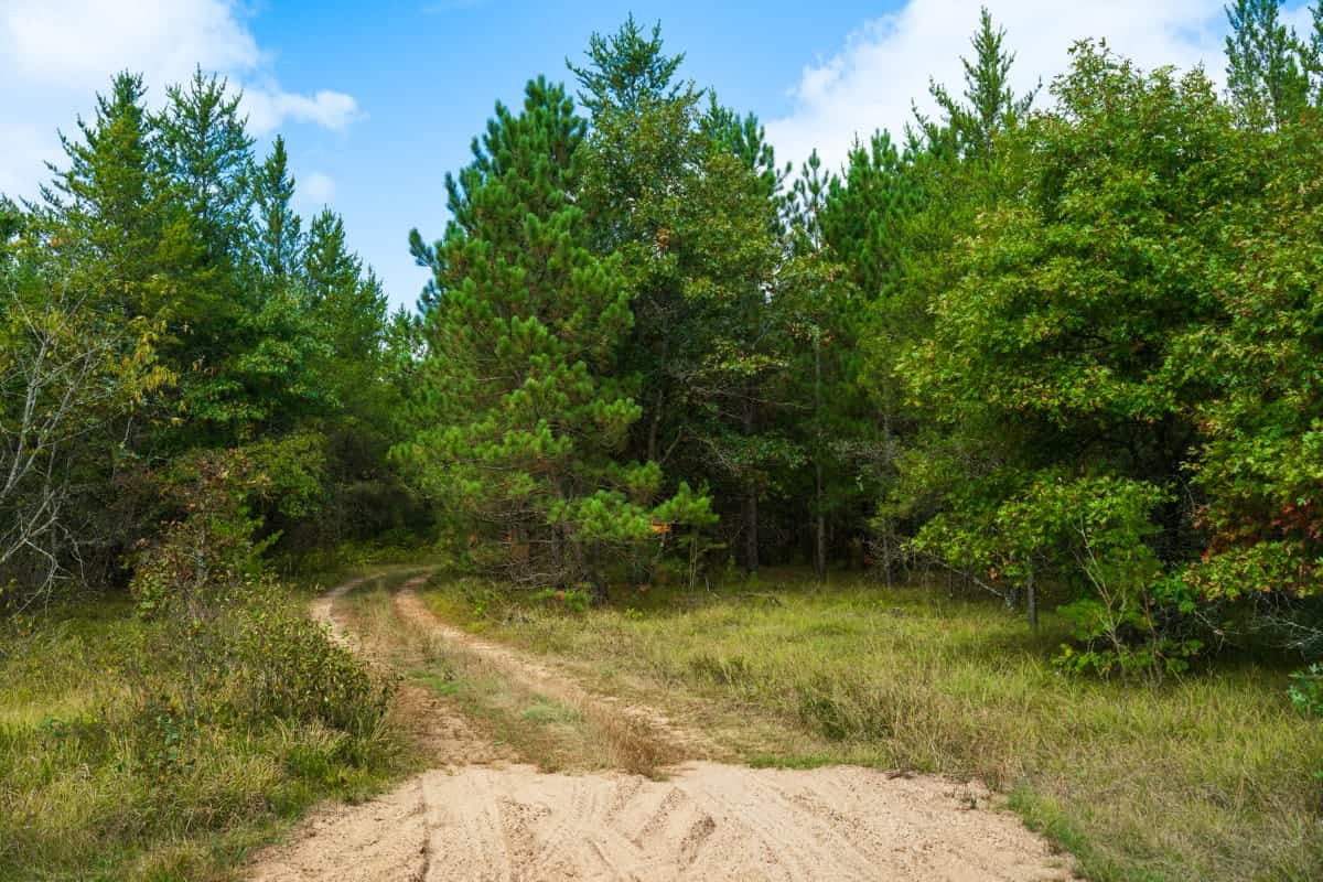 43 +/- Acres Augusta Wisconsin
