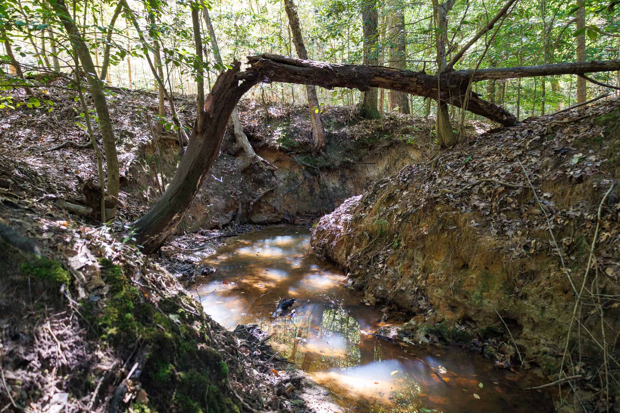 East Texas Recreational Land for Sale Gilmer TX Upshur County | Hunt & Timber