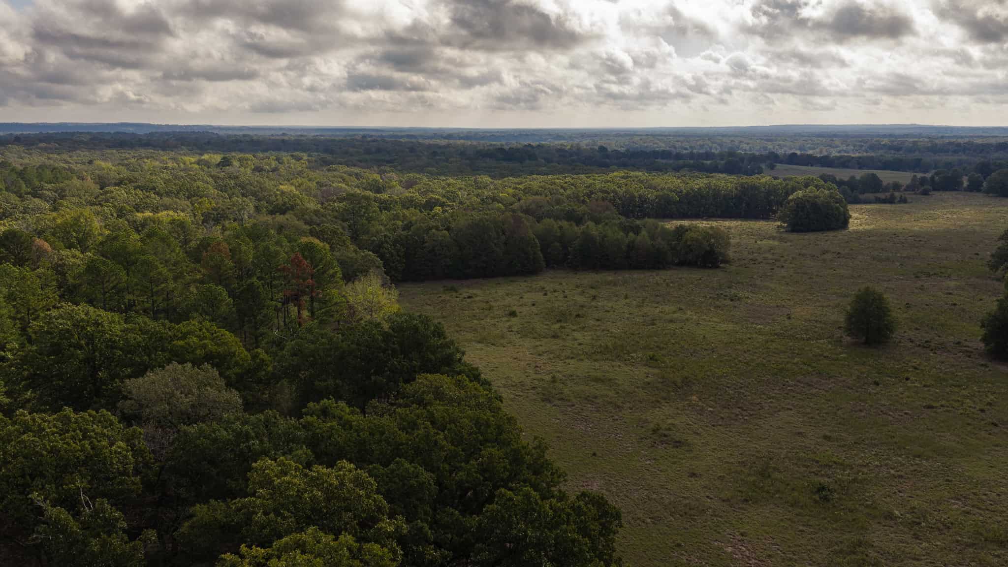 126-Acre Recreational Ranch for Sale in Mineola Texas Wood County