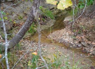 80 Acres +/- Hunting/Recreational Land For Sale Central Oklahoma
