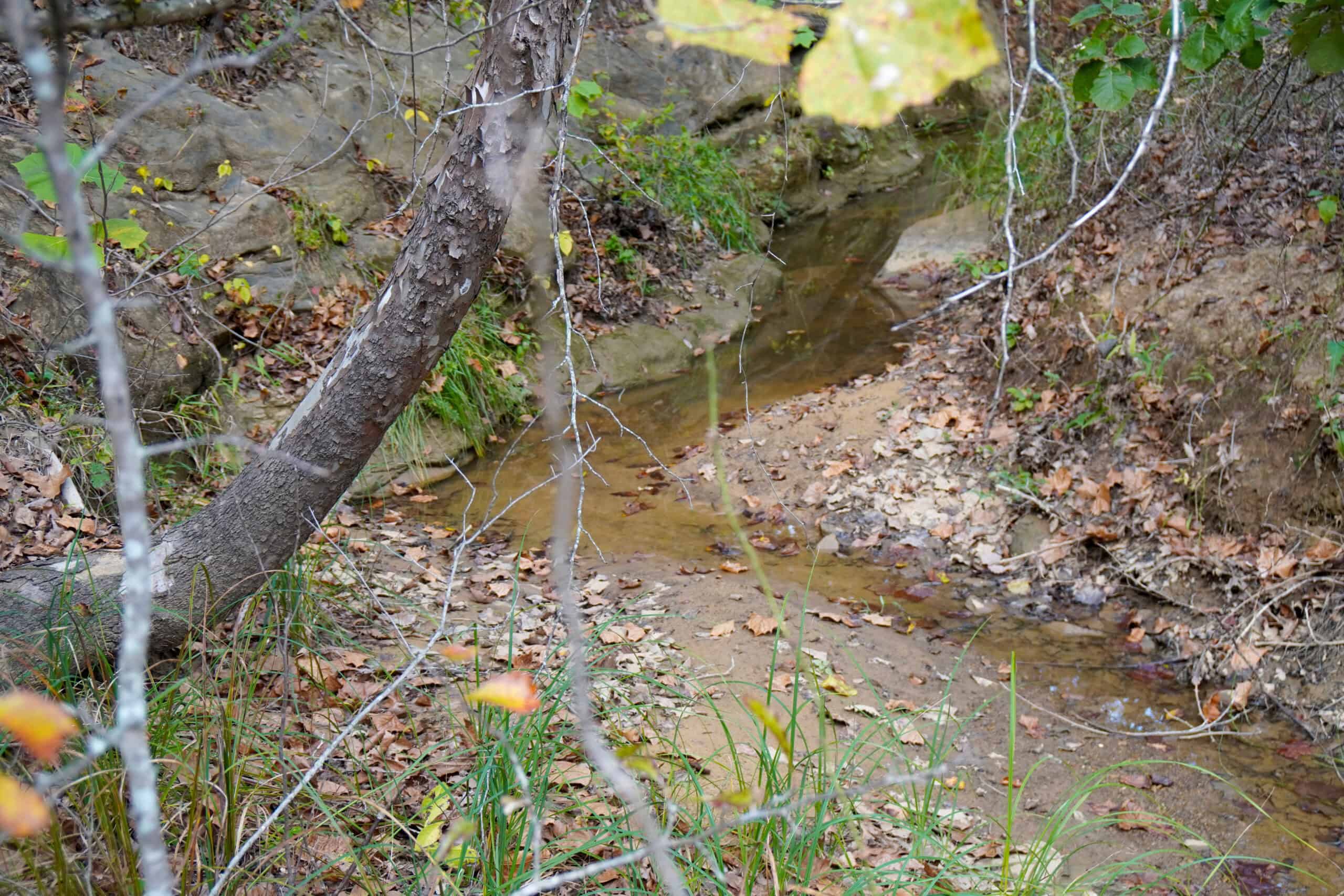 80 Acres +/- Hunting/Recreational Land For Sale Central Oklahoma