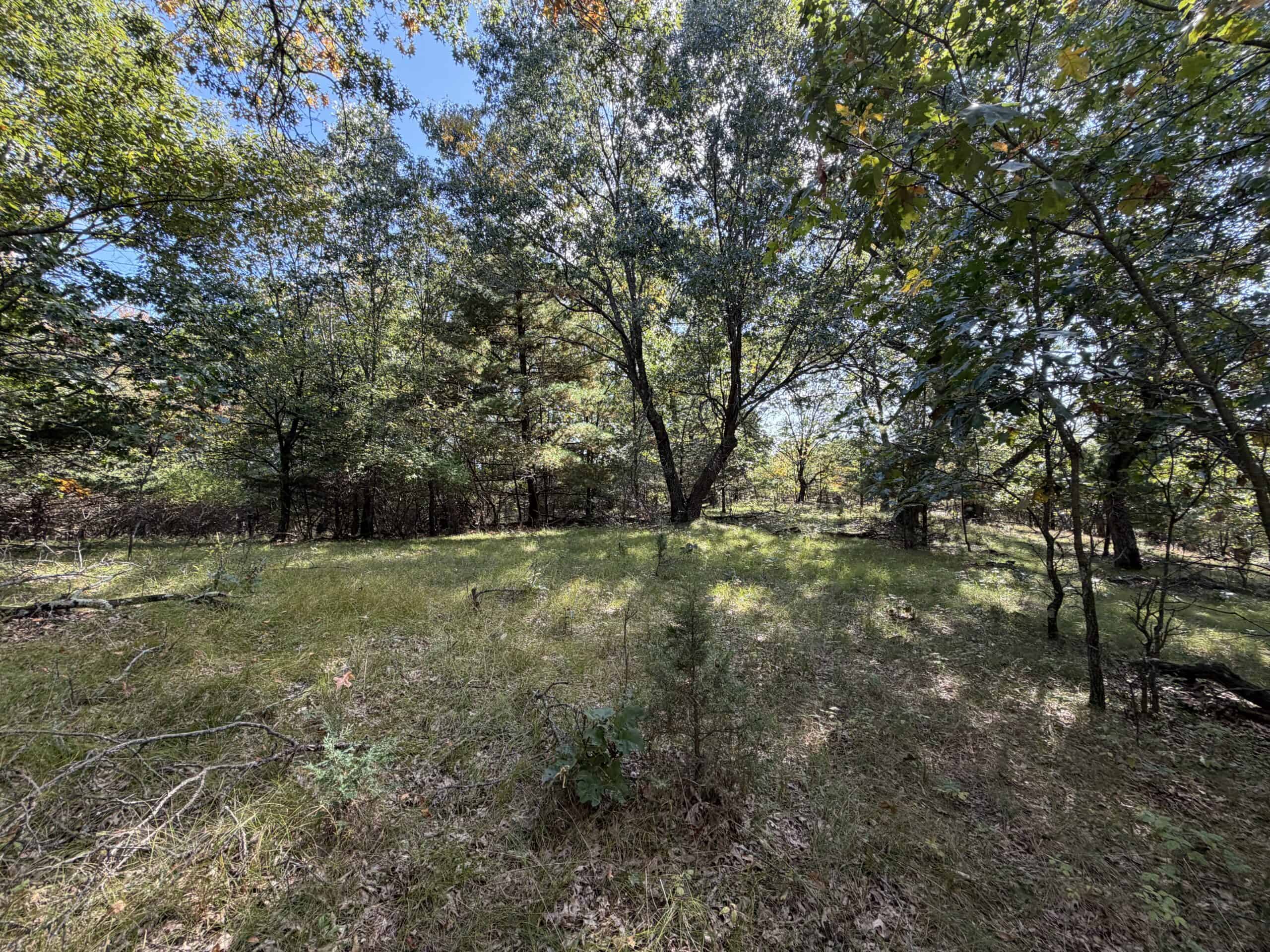 Buildable Hunting and Rec Property in Marquette County WI