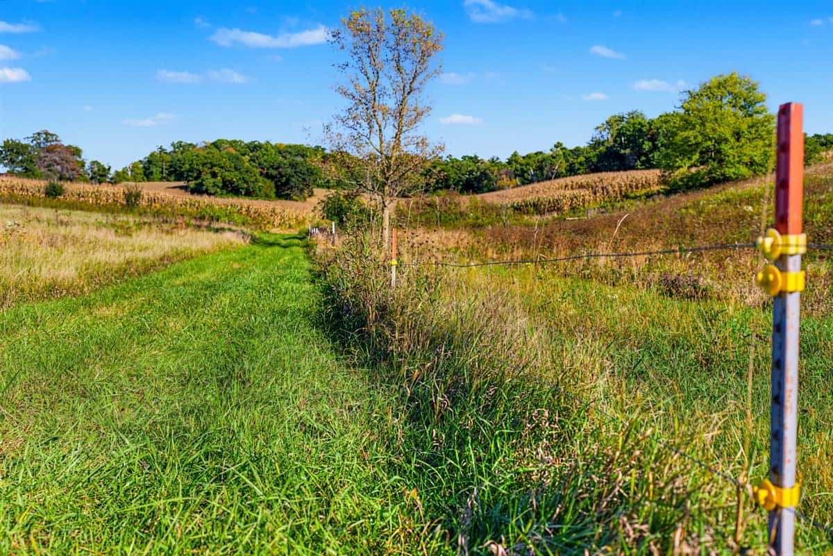 Wisconsin Country Farmstead & Artisan Creamery | Osseo, WI