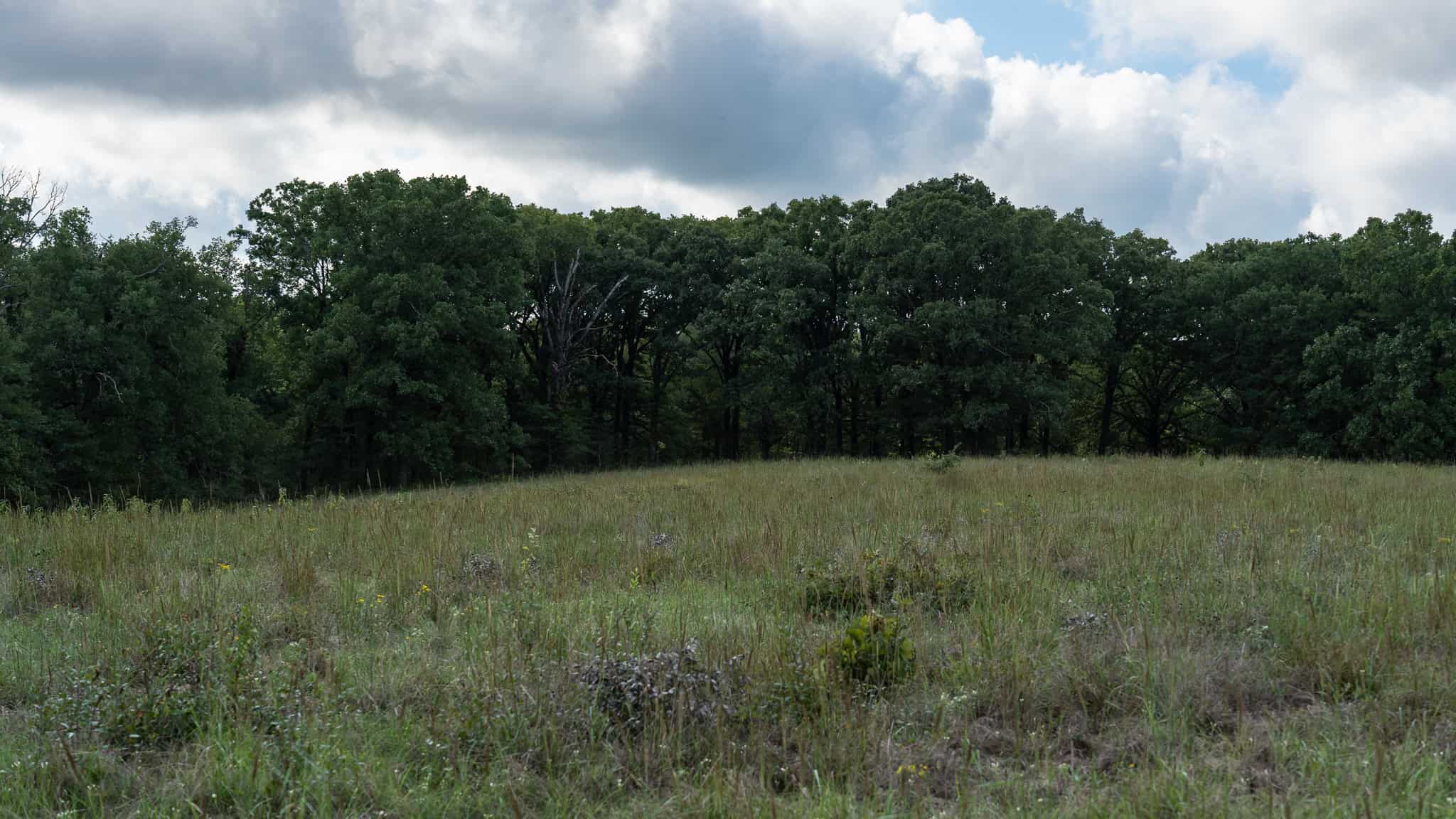 126-Acre Recreational Ranch for Sale in Mineola Texas Wood County