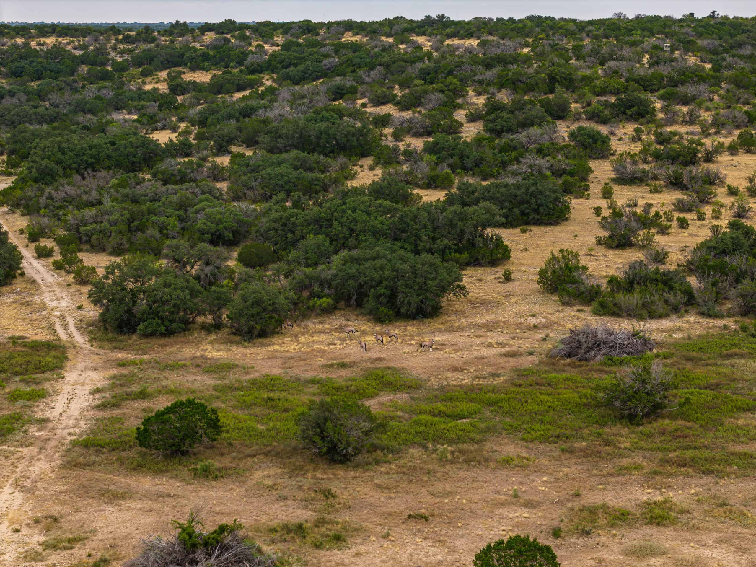 Dunbar Draw Ranch-First-Class Improvements, Exceptional Wildlife