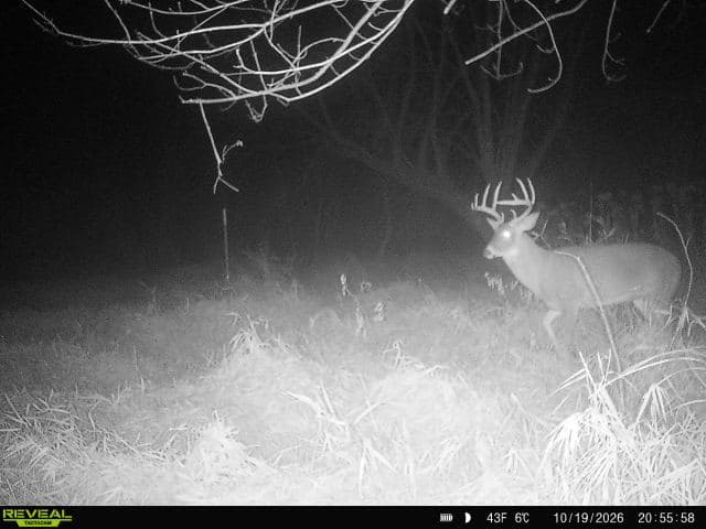 288± Acre Farm, Hunting & Black River Property | Melrose, Jackson County, WI