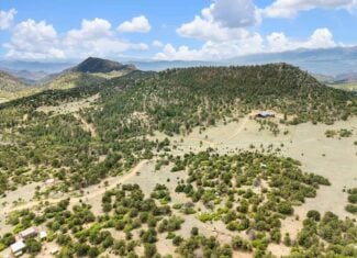 44 ± Acre Luxury Mountain Home for Sale Near Cotopaxi, CO