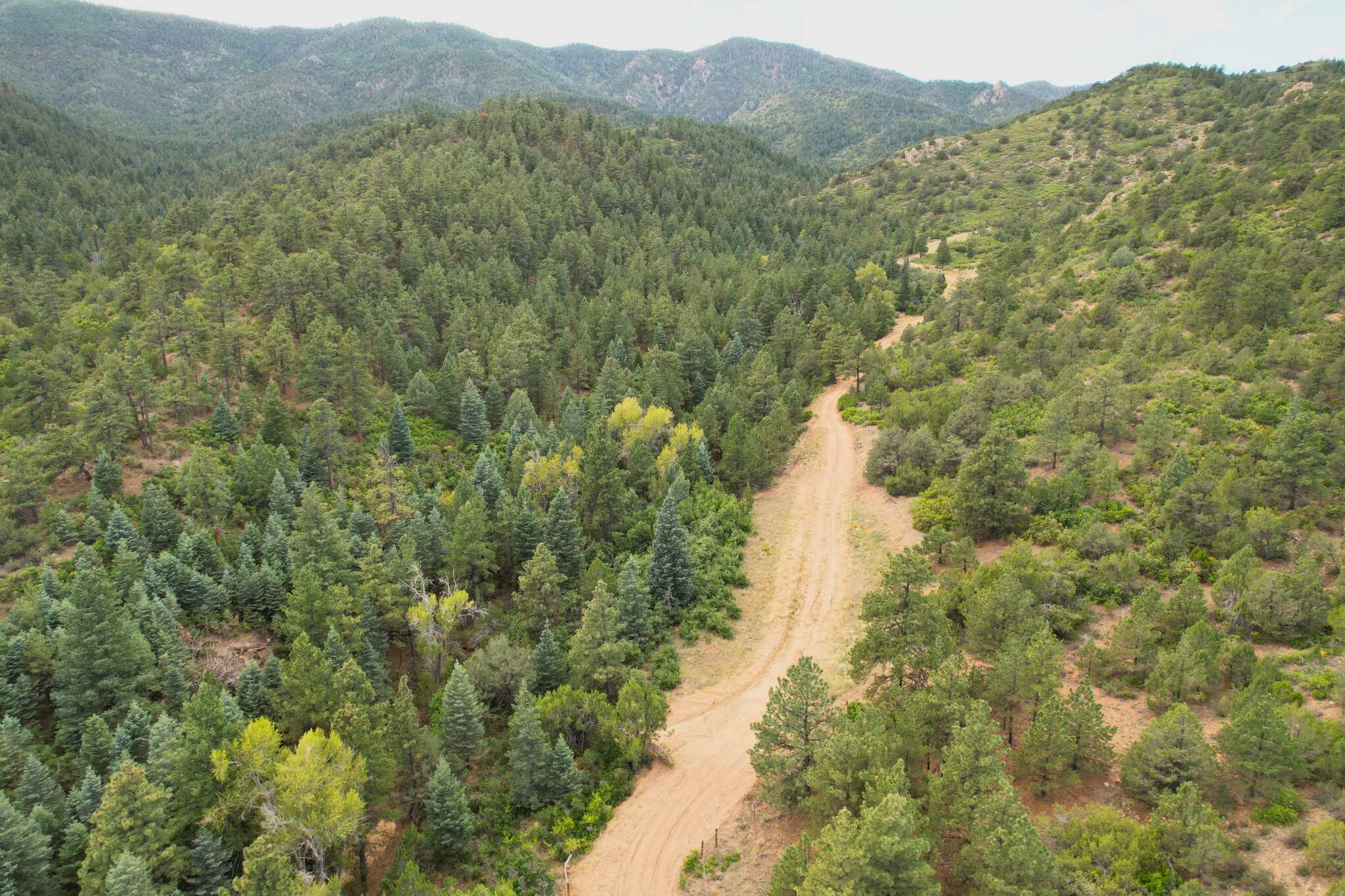 170.68 ± Acre Hunting Ranch by National Forest | Florence, CO