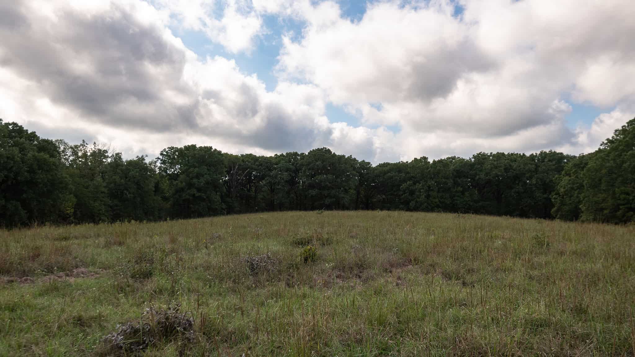 126-Acre Recreational Ranch for Sale in Mineola Texas Wood County