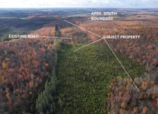 160 ± Acre Hunting Land with Camp Site Near Butternut, WI