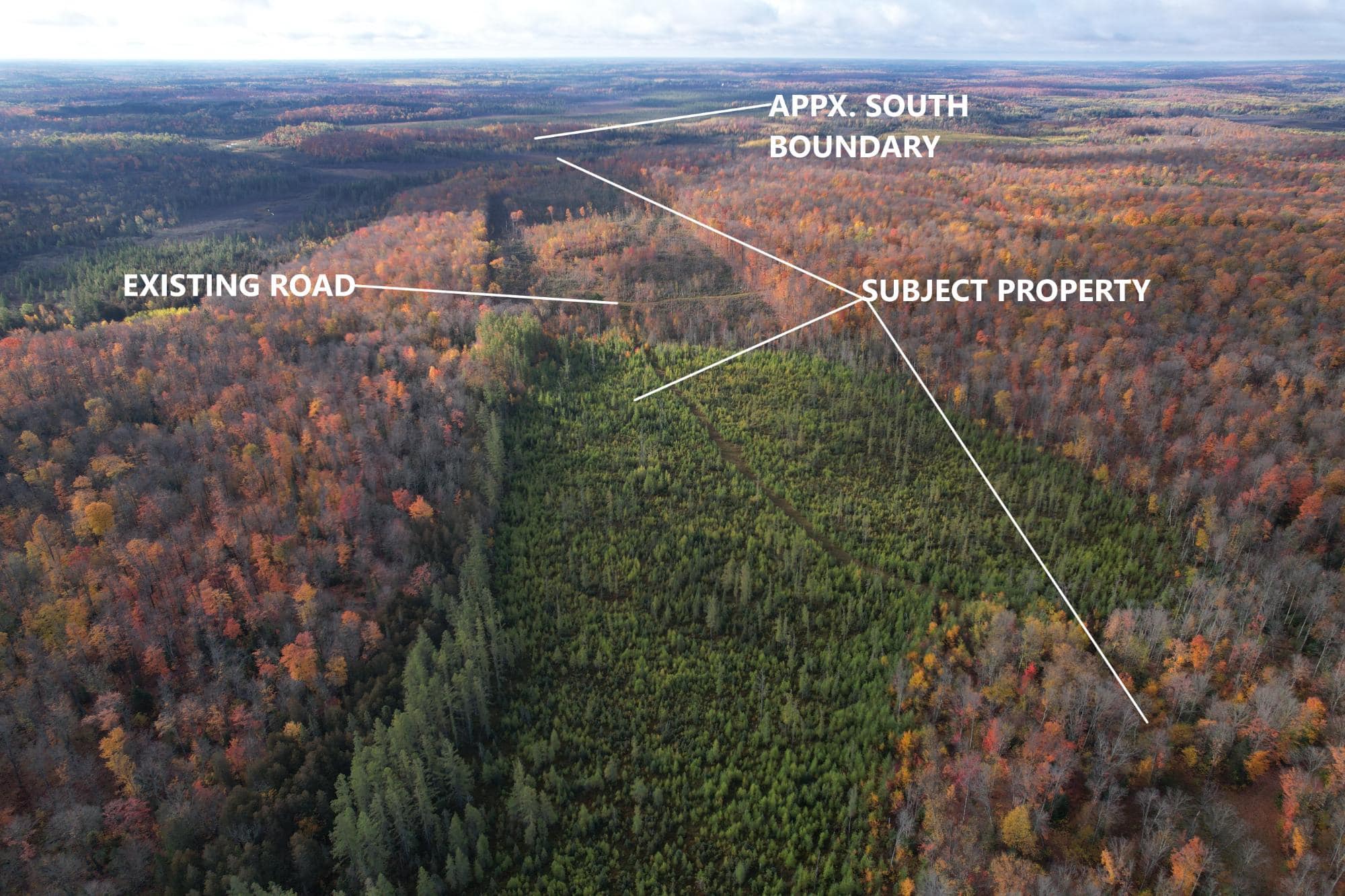 160 ± Acre Hunting Land with Camp Site Near Butternut, WI