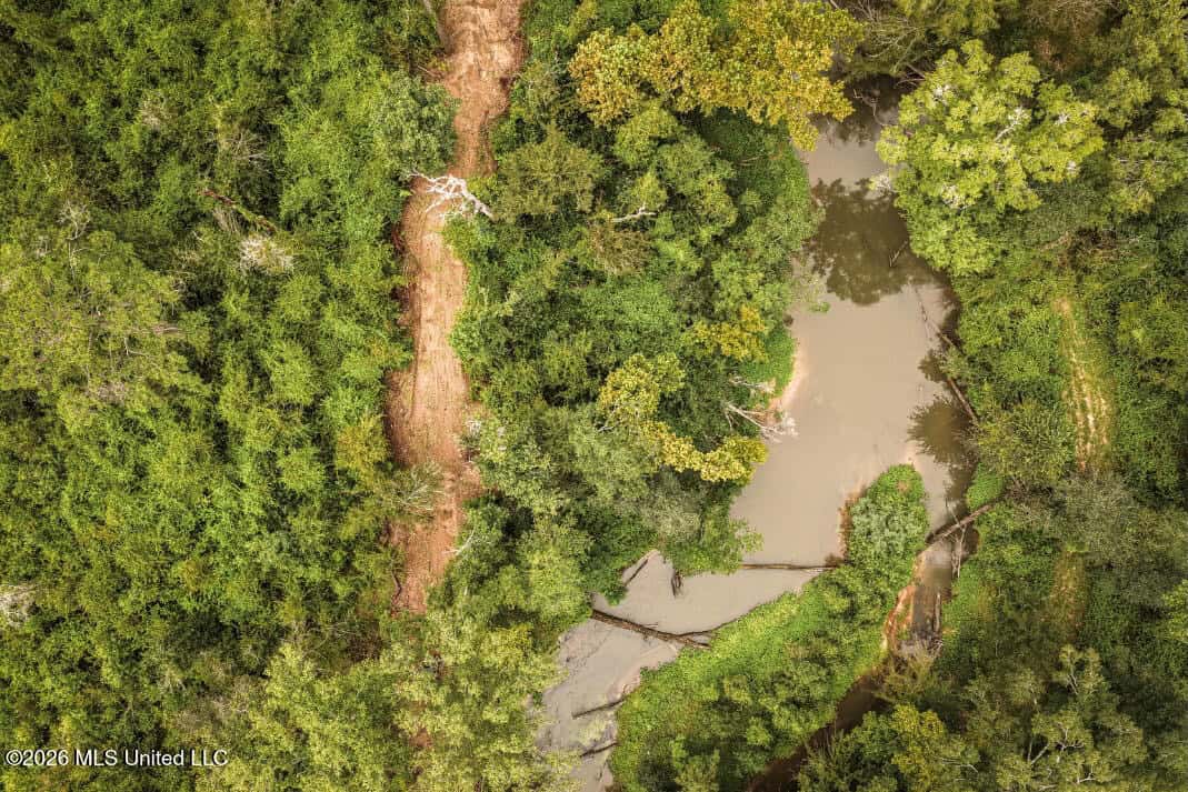 900 Acres for Sale – Hunter’s Paradise South Mississippi