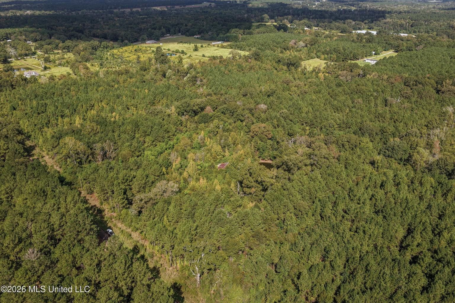 19.7+/- Acres of Wooded Land for Sale in Magnolia, MS