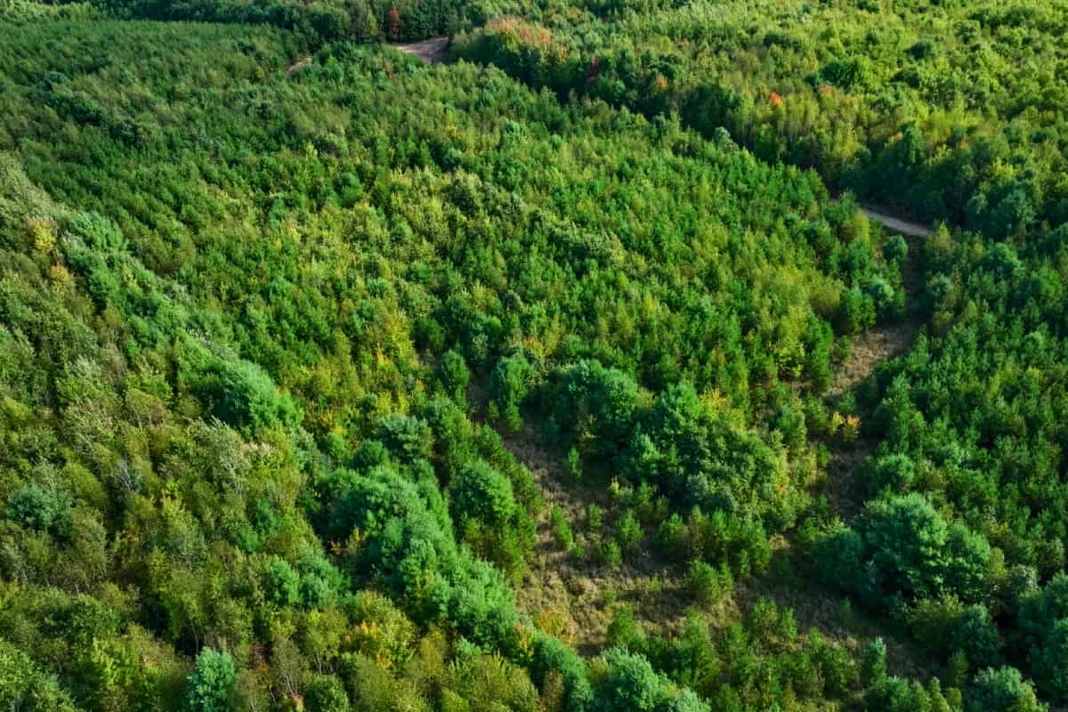 200± acres of Western Wisconsin recreational country Eau Claire Cty