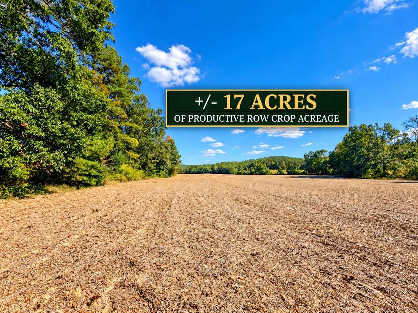 Farm, Breathtaking Home Site, INCREDIBLE Views, Tippah Co., MS