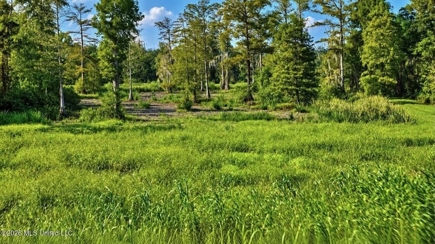 1979± Acre Hunting Plantation in White Castle, LA