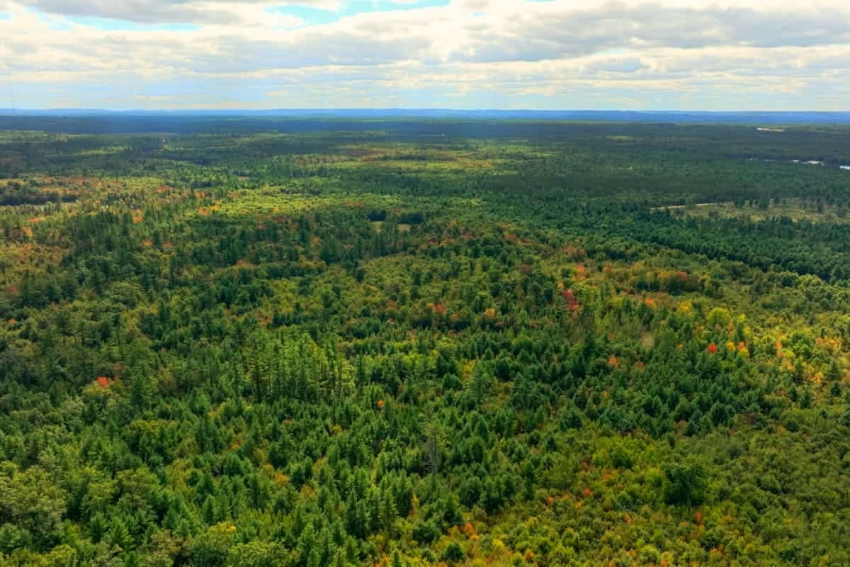 160+/- acres of Western Wisconsin hunting property Eau Claire Cty
